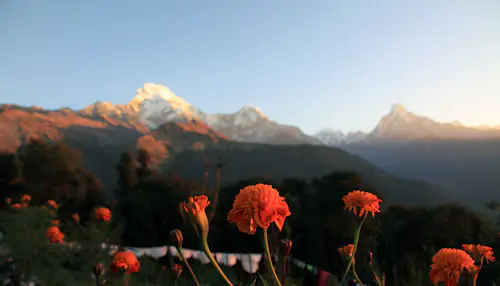 12-day Annapurna Base Camp and Poon Hill Trek in Nepal