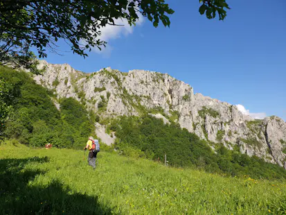 Hiking day in Cheile Rametului, Romania