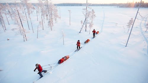 Pyhä-Luosto Ski Touring in Finland, 2 days
