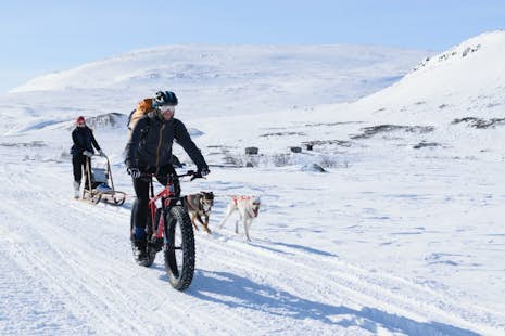E-Fatbike tour in Lapland to the top of Finland