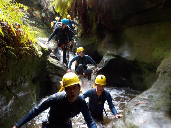 canyoning-blue-mountains-4