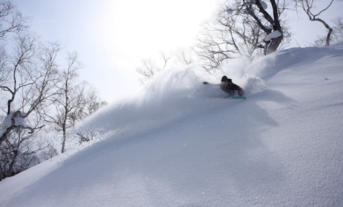 Ski touring and freeride skiing in Sapporo, Hokkaido