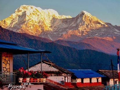 Annapurna Panorama Trek with 360° views in Nepal (10 Days)