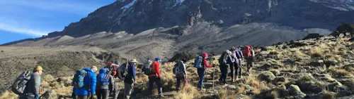 Kilimanjaro 7-day Trek via Machame route (with 2 nights in hotel)