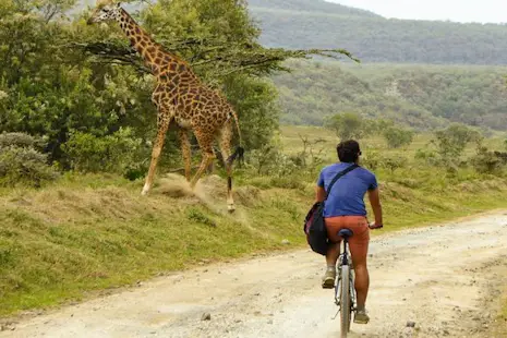7-day Cycling safari in Kenya with visits to Maasai Mara & Amboseli National Park