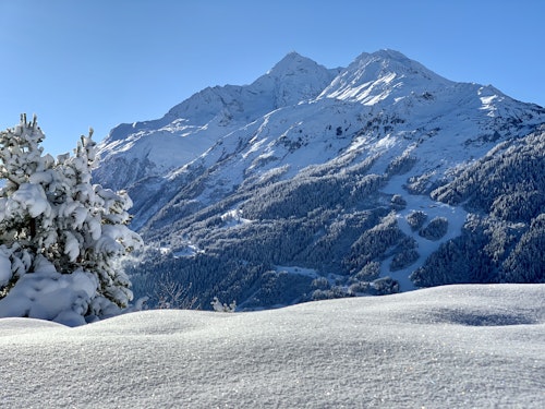 Full day snowshoeing Tarentaise Valley