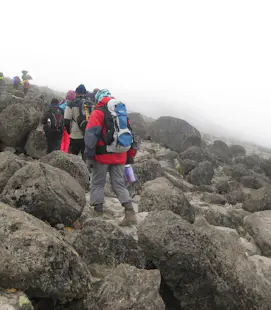 Mount Kilimanjaro summit via the Machame route, 6-day Group trek in Tanzania