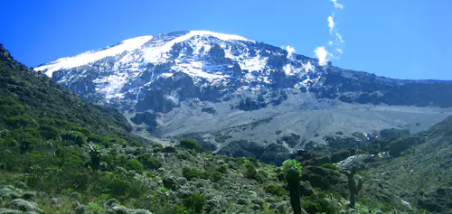 7-day Machame route trek to the summit of Kilimanjaro