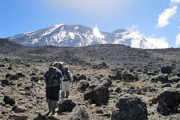 8-day Lemosho route to the summit of Mount Kilimanjaro, Tanzania