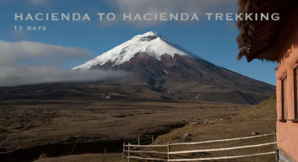 The haciendas of Ecuador, 11-day Trek in the Cotopaxi National Park, Quilotoa & Chimborazo | Ecuador