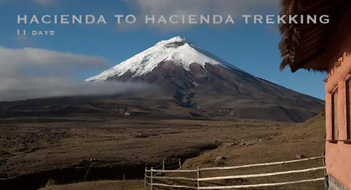 Las haciendas de Ecuador, 11 días de Trek en el Parque Nacional Cotopaxi, Quilotoa y Chimborazo