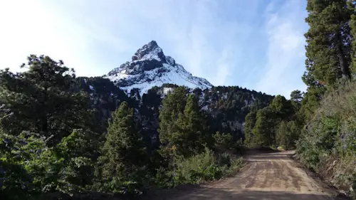 Day hike to the top of the Nevado de Colima in Mexico (Nevado de Colima National Park)