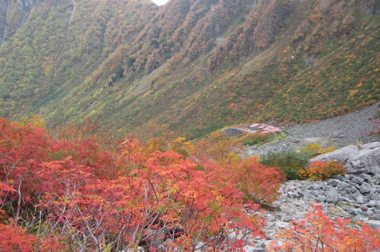 autumn leaves at Karasawa circl
