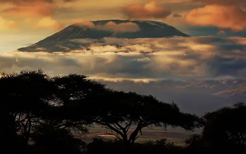 Mount Kilimanjaro trek via the Umbwe route, 7 days