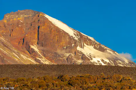 8-day Kilimanjaro climb via the Lemosho route