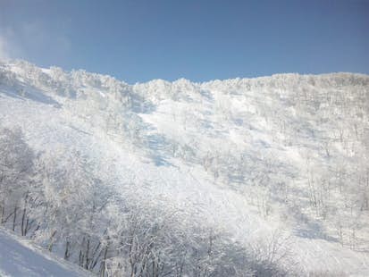 Ski de randonnée en groupes privés à Myoko au Japon
