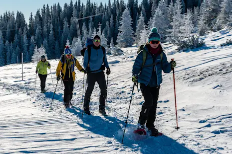 Snowshoeing weekend in the Rax (Northern Limestone Alps) to the Höllentalaussicht in Austria