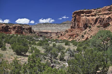 Unaweep Canyon rock climbing near Grand Junction, Colorado