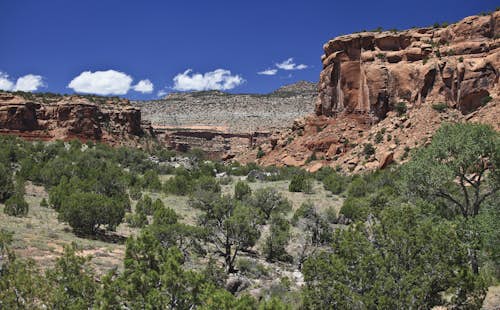 Unaweep Canyon rock climbing near Grand Junction, Colorado