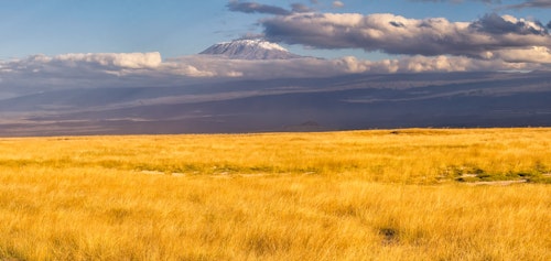 7-day Mount Kilimanjaro climb via the Machame Route
