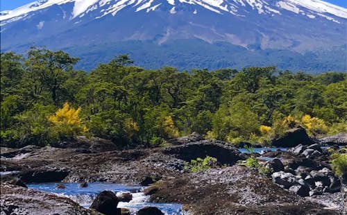 Volcanoes and Araucaria trees: 11-day freeride ski tour in Chilean Patagonia, from Temuco
