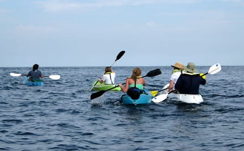 Puerto Vallarta sea kayaking and snokeling at Colomitos Beach