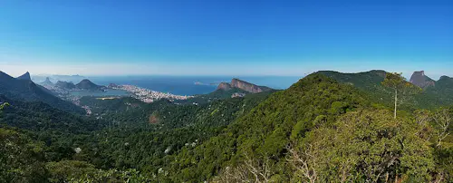 Tijuca Forest trail running tour in Rio de Janeiro, Brazil