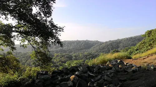 Outdoor rock climbing in Mumbai (Sanjay Gandhi National Park)