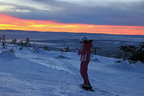 Off-piste skiing in Trysil, Norway (Østerdalen)