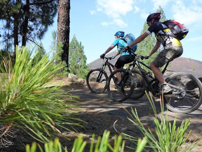 Mountain biking in Tenerife, Day tours in the Canary Islands, Spain