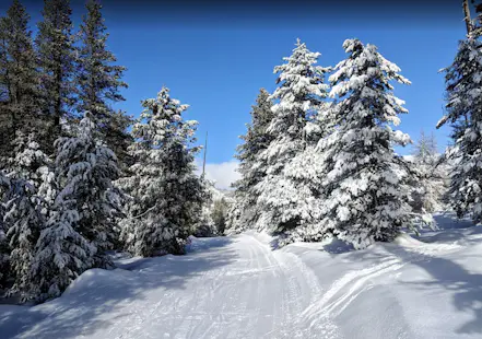 Backcountry skiing and splitboarding for experts in “The Zones” at Bear Valley Ski Resort, CA