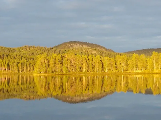 Hiking Tour Kuusamo-Russian Karelia: Remote wilderness, bear watching and midnight sun