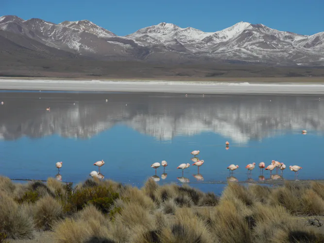 2-day Lauca National Park and surroundings hiking and sightseeing tour in northern Chile 2