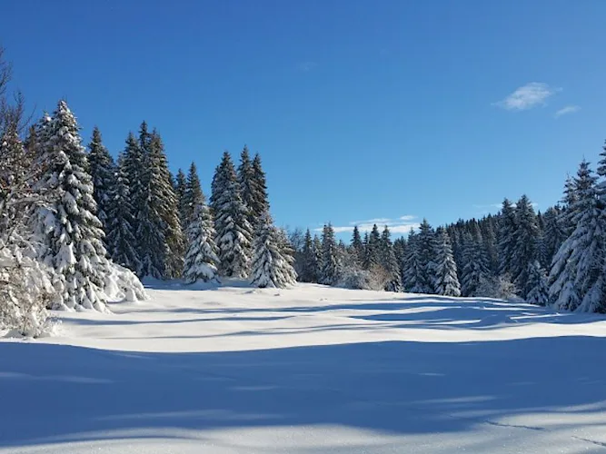 Snowshoeing in Jura Vaudois Nature Park, Switzerland