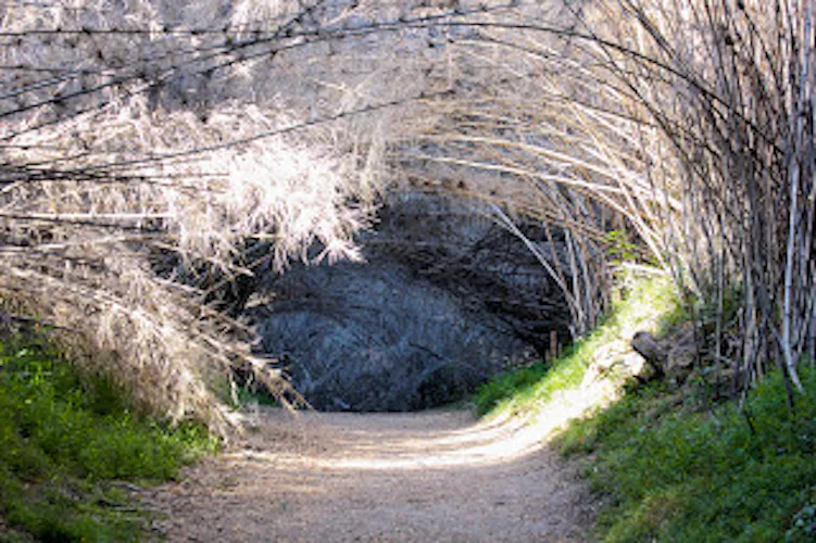 Easy hikes along the “Circuito Chico” in Bariloche, Patagonia, Argentina