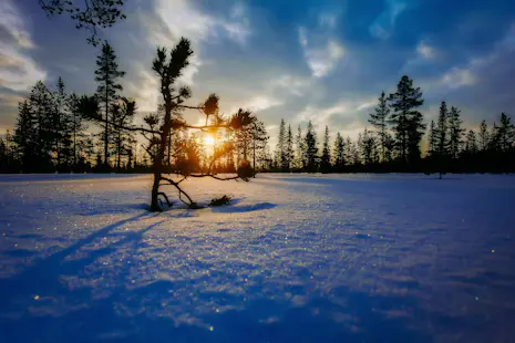 8-day backcountry ski expedition in Lemmenjoki National Park, northern Finland