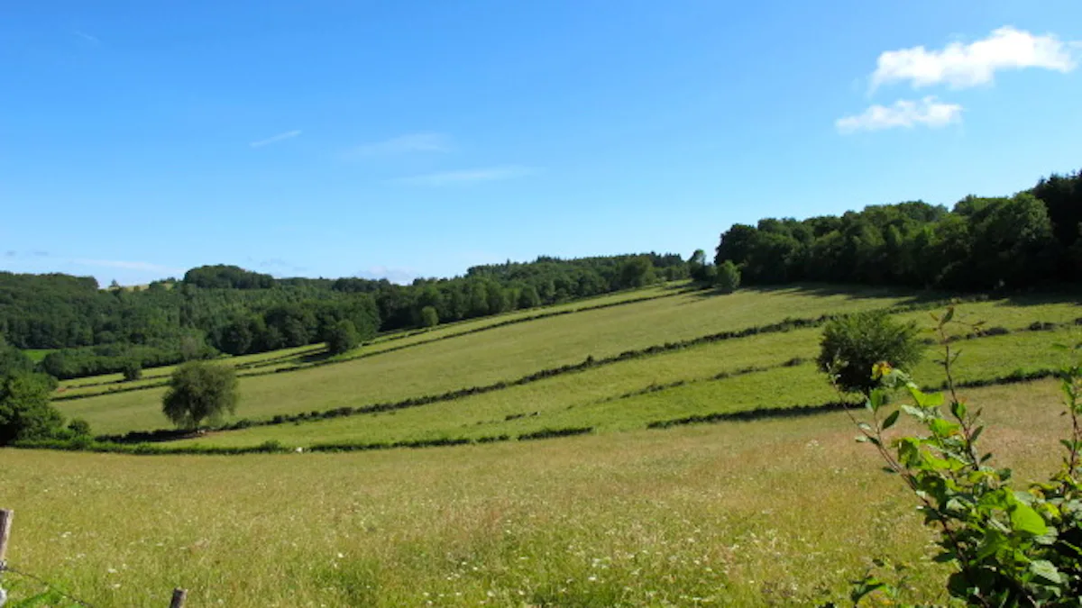 Stay in a cottage and hike in the Morvan Regional Natural Park in France, 3 days, 2 nights 4