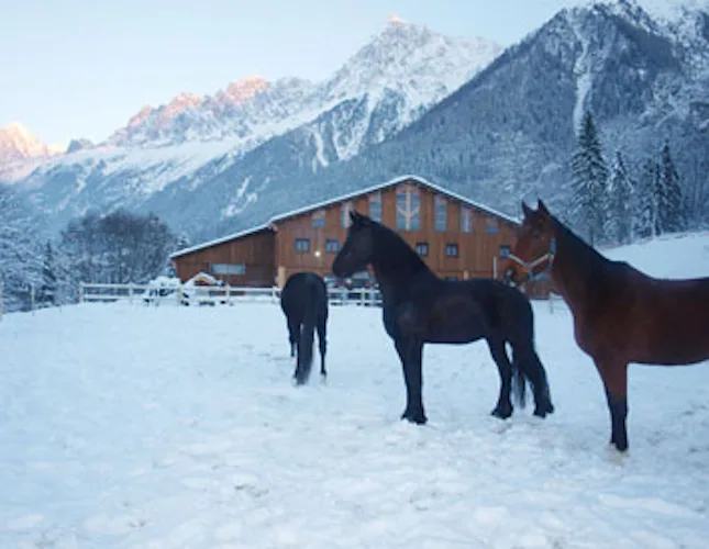 Private horseback riding tour in the Chamonix Valley, France (2 hours) 1
