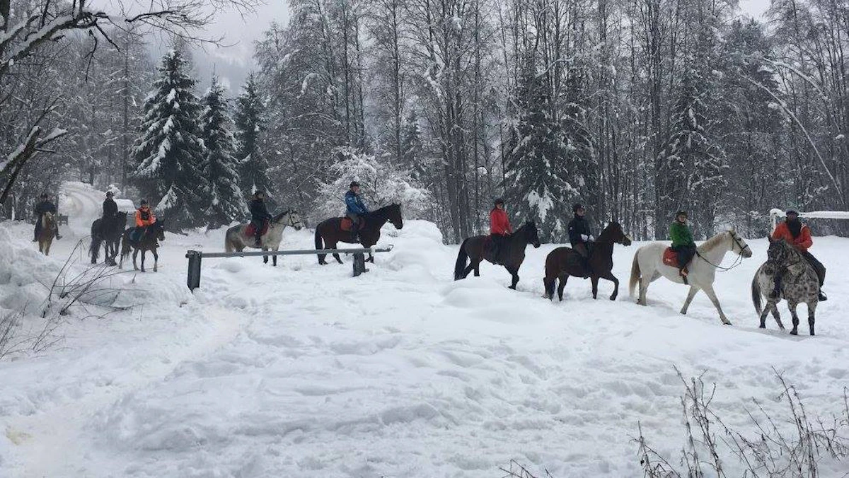 Private horseback riding tour in the Chamonix Valley, France (2 hours) 3