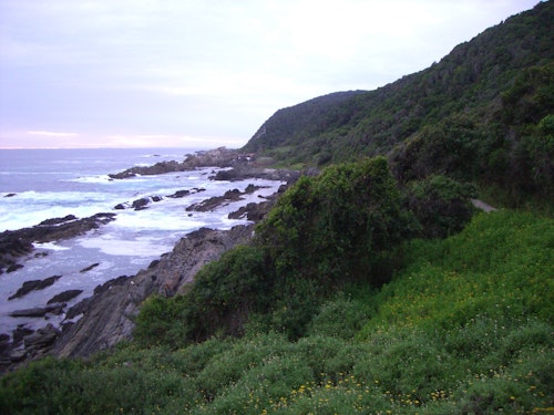 The Otter Trail, 5-day Hut-to-hut hike along the coast in South Africa