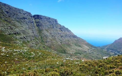 Hike Table Mountain in Cape Town via the Platteklip Gorge (Half-day)