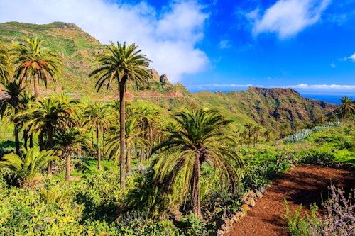 5-day Guided Trekking in Canary Islands, the Magic Island