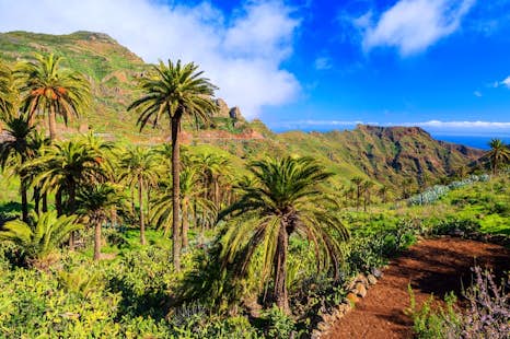 5-day Guided Trekking in Canary Islands, the Magic Island