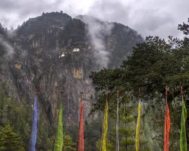 Trekking the famous Druk Path Trek in Bhutan with a guide, 7 days
