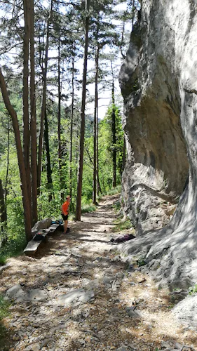 “Geoclimbing” in Slovenia, Customized geological climbing tours