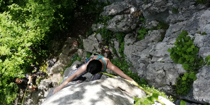 “Geoclimbing” in Slovenia, Customized geological climbing tours