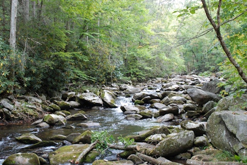 “The Mountaineers Way”, Easy half-day hike in the Great Smoky Mountains, from Gatlinburg