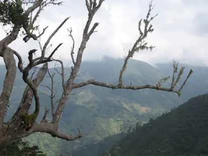 1+day single-track mountain biking in Jamaica – Ocho Rios, Oracabessa, Robin’s Bay, Pimento Hill, Blue Mountains