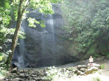 Hike the Des Cartiers Rainforest Trail in Saint Lucia (Half-day)