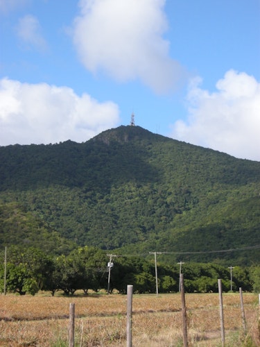 Half-day Hike to the top of Mount Obama, the highest point in Antigua